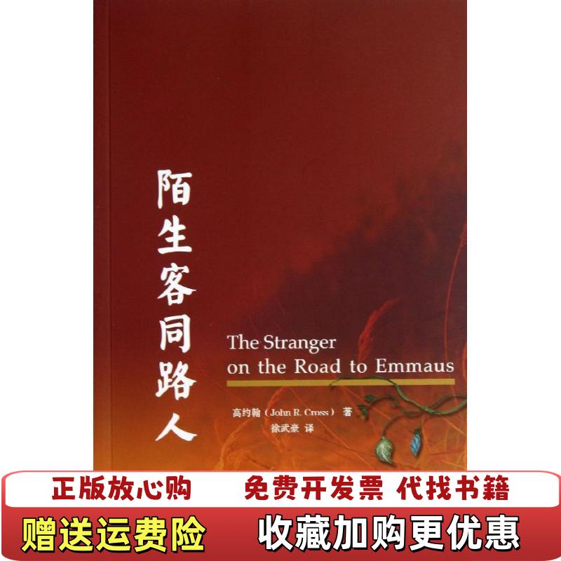 【正版图书】陌生客同路人加高约翰 著上海三联书店9787542641571