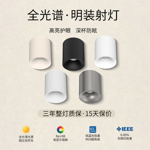 全光谱防眩免打孔明装吸顶射灯