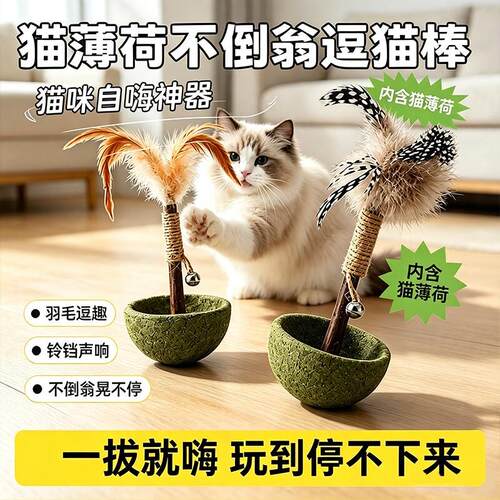 猫薄荷不倒翁玩具宠物磨