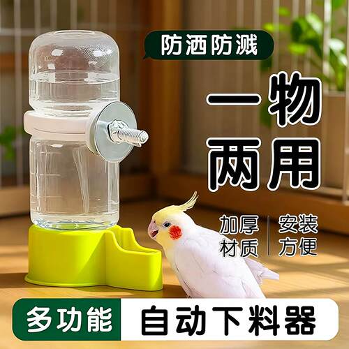 自动喂食饮水器虎皮鹦鹉八哥