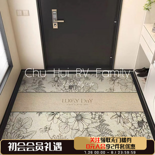 丝圈地垫门口入户门进门脚垫入门地垫地毯玄关家用蹭土防滑垫 法式