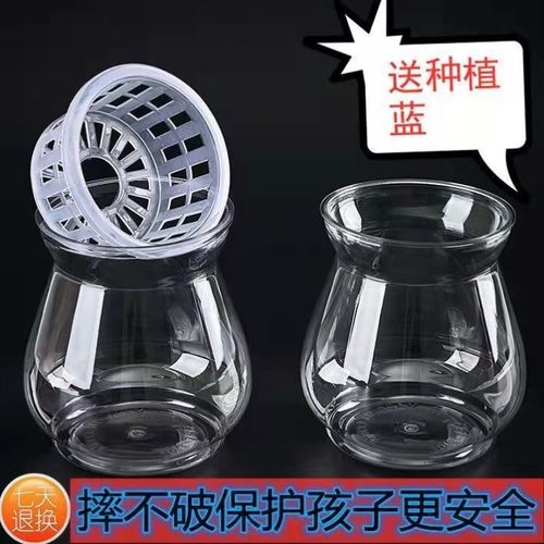 高颜值水培器皿郁金香透明容器风信子水培花瓶养花瓶塑料