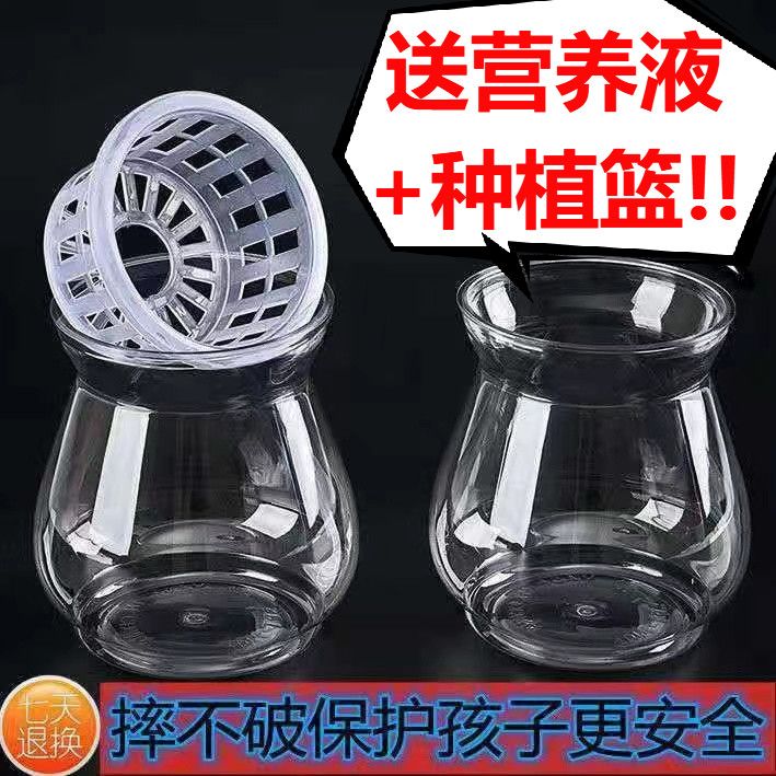 高颜值透明塑料绿萝水培花瓶观音竹富贵竹水养植物客厅办公装饰品