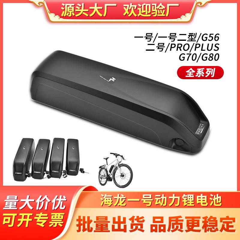 跨境海龙一号48V电动车锂电池Ebike助力车动力电池36V16A