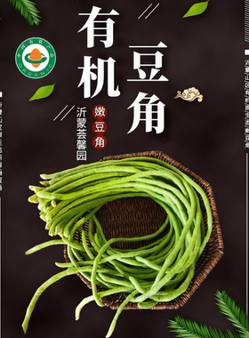 沂蒙荟馨园农家自种现摘鲜嫩豇豆