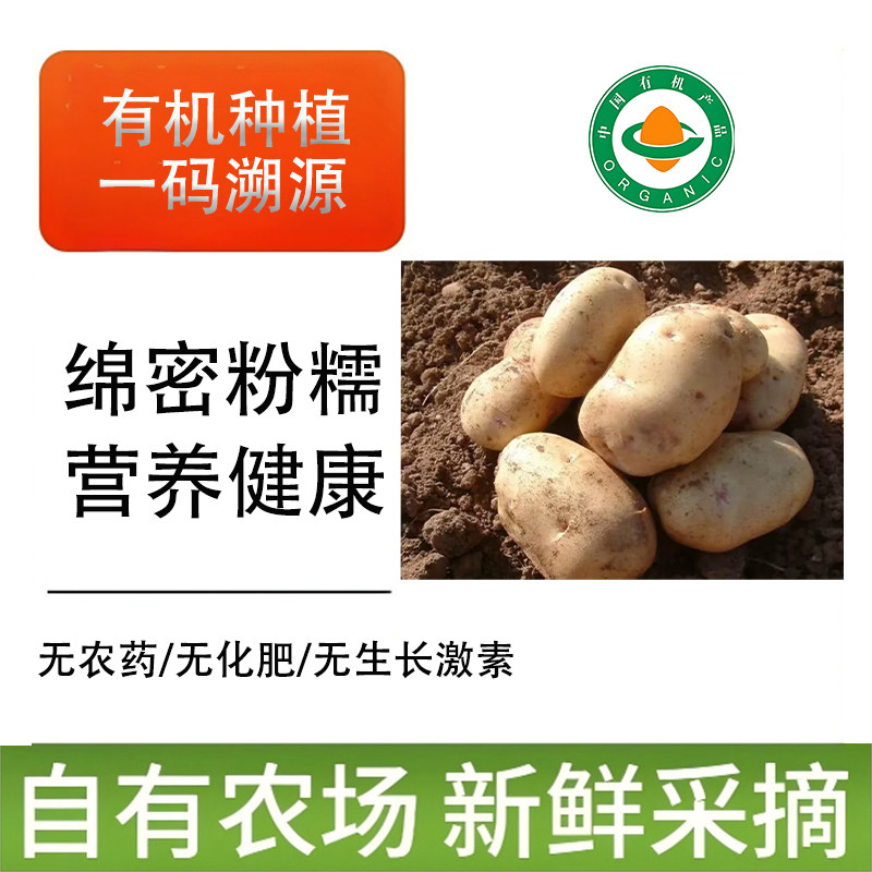 沂蒙荟馨园农场直发时令新鲜有机土豆 没有任何药物残留健康营养