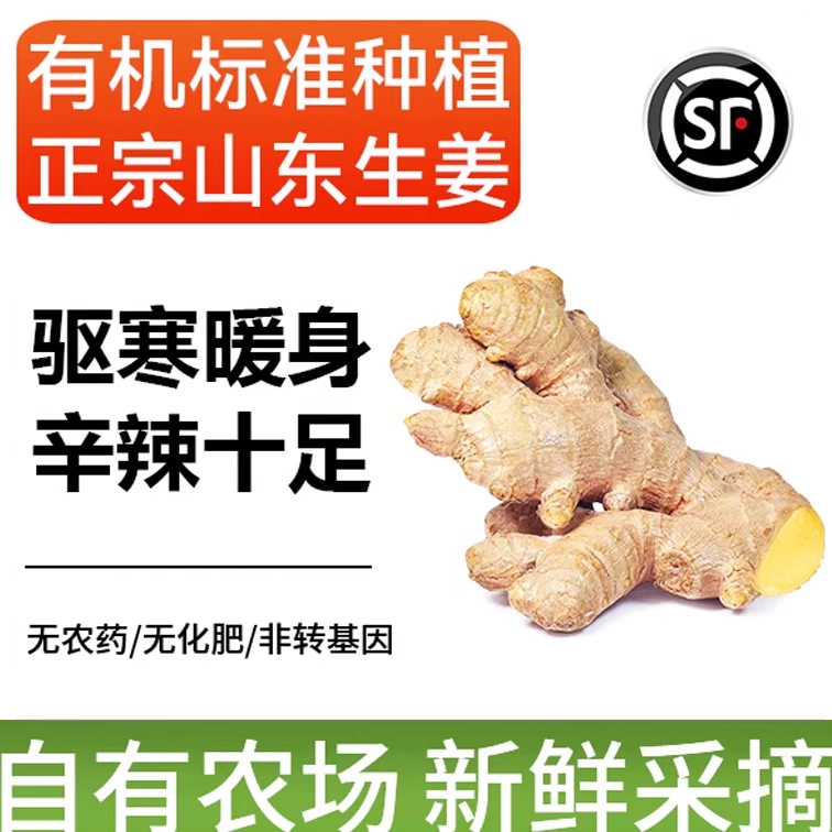 老姜有机种植生姜现挖现发