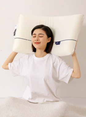 FUANINAIART深睡眠慢回弹记忆枕朵酒店枕头护颈椎睡眠枕芯成人枕