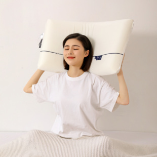 FUANINAIART深睡眠慢回弹记忆枕朵酒店枕头护颈椎睡眠枕芯成人枕