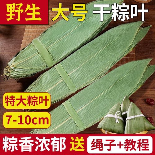 新鲜干粽叶端午节包粽子天然家用