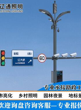 多功能智慧灯杆12m道路交通信号灯标识杆城市道路综合智慧路灯杆