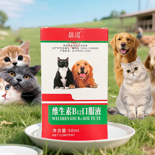 雄岚维生素B12猫狗兽用50ml
