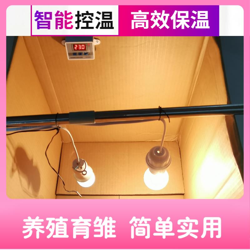 自制家庭实用小鸡鹌鹑鸟育雏保温箱养殖智能自动控温加热灯恒温器