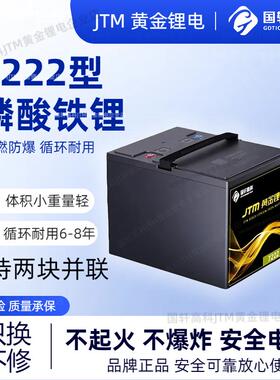 国轩高科JTM黄金锂电电池7222型磷酸铁锂电动车电池赠专用充电器