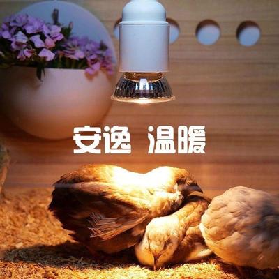 芦丁鸡保温灯调温加热灯爬虫爬宠保温箱取暖灯节能孵化灯防水防爆