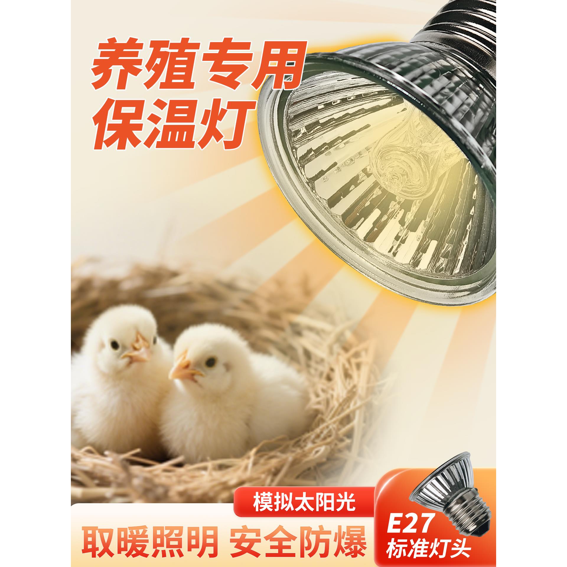 芦丁鸡保温灯小鸡育雏保温灯小太阳加热灯孵化鸡蛋专用恒温控灯泡