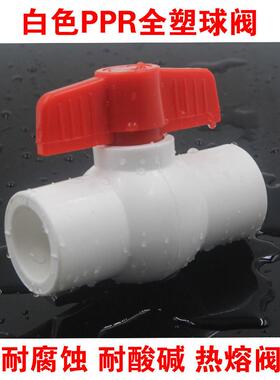 白色PPR全塑球阀耐腐蚀酸碱化工用20 25 32 40 50 63水管热熔开关