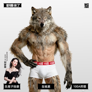 鸿运礼盒装 野兽来了唤醒野兽红内裤 男本命年生蚝养护抑菌四角短裤