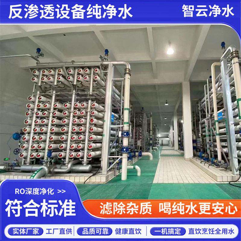 反渗透设备大型商用井水过滤设备去泥沙直饮净水设备海水谈化装置