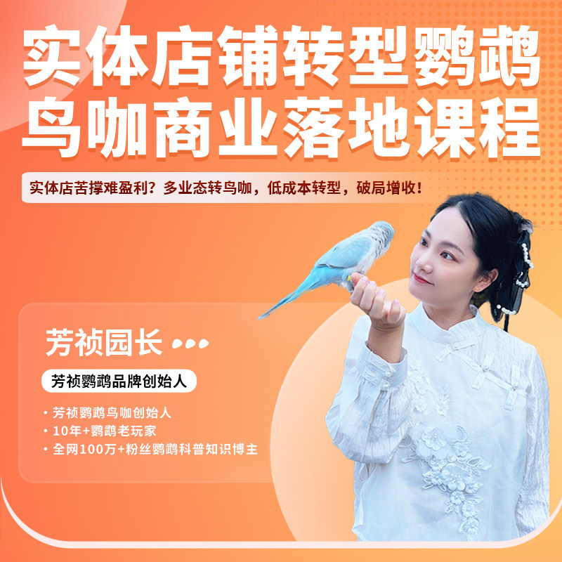 实体店铺转型鹦鹉鸟咖
