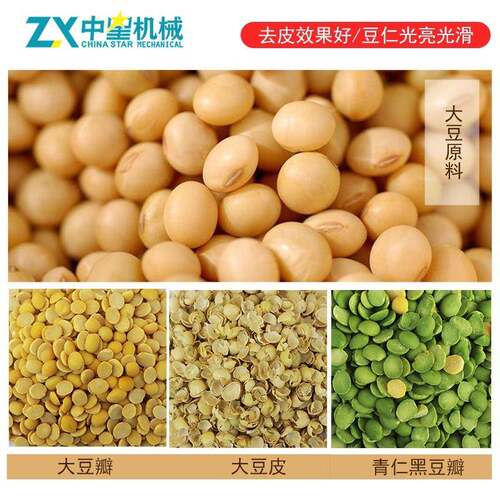 BVX时产2吨自动大豆脱全机锈钢黄豆黑豆豌豆不脱皮分瓣机组筛皮分