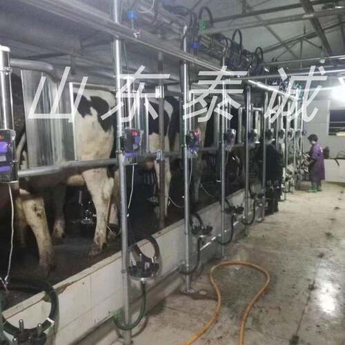 奶厅计挤量瓶奶单厅鱼骨式量计瓶挤奶机（本店铺产AOZ品需详询后