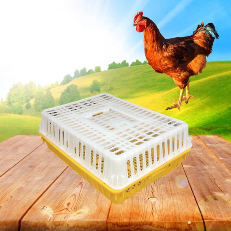 鸡用运输笼鸡用周转箱运输鸡笼成鸡鸭鸽兔周转箱运输笼