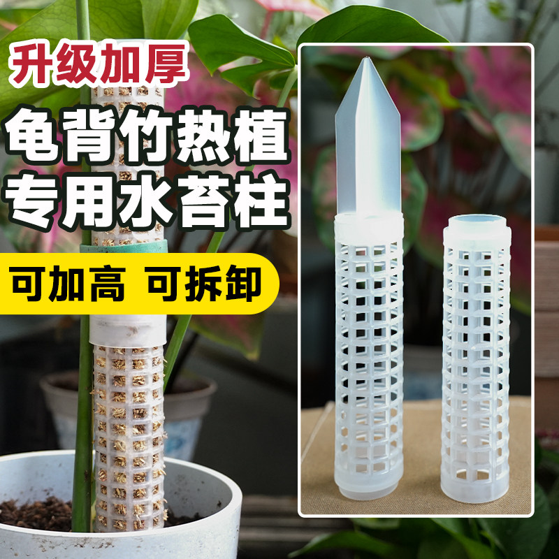水苔柱龟背竹热植专用白龟蔓绿绒可拼接新型植物攀爬柱支撑杆花架图片