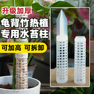 水苔柱龟背竹热植专用白龟蔓绿绒可拼接新型植物攀爬柱支撑杆花架