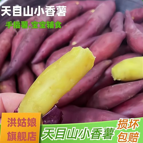 迷你手指薯现挖临安天目山小香薯
