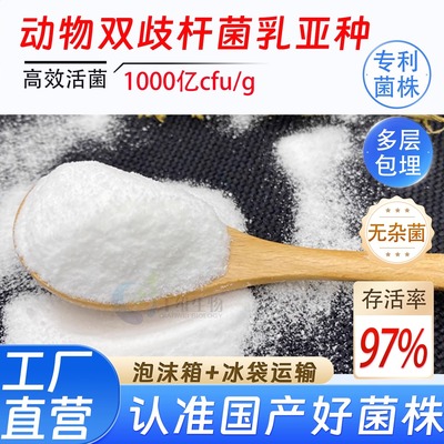 动物双歧杆菌乳亚种1000亿冻干型益生菌高活性乳酸菌发酵厂家正品