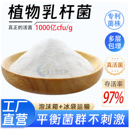 植物乳杆菌1000亿高含量益生菌菌粉食品级乳酸菌酸奶厂家正品现货