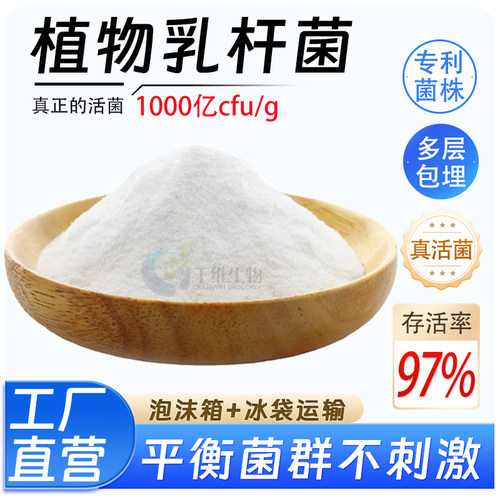植物乳杆菌1000亿高含量益生菌菌粉食品级乳酸菌酸奶厂家正品现货