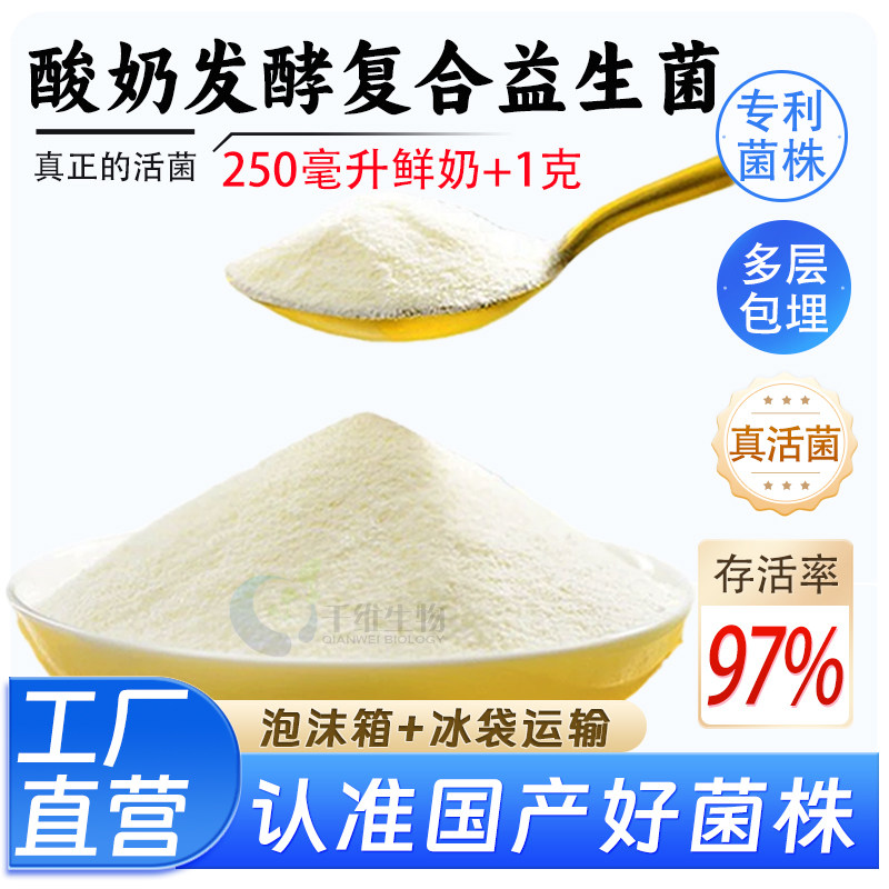 自制酸奶发酵菌粉酸奶发酵菌