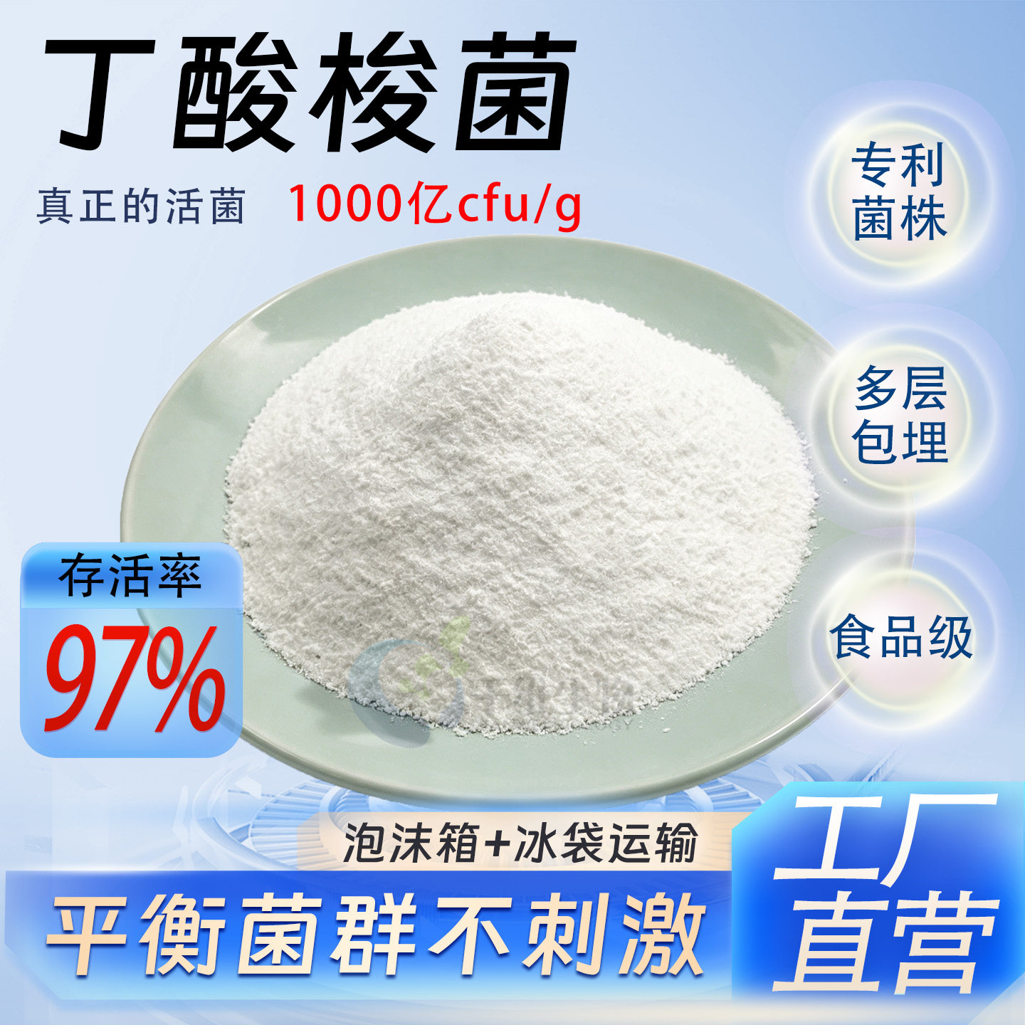 丁酸梭菌益生菌丁酸梭菌粉人用