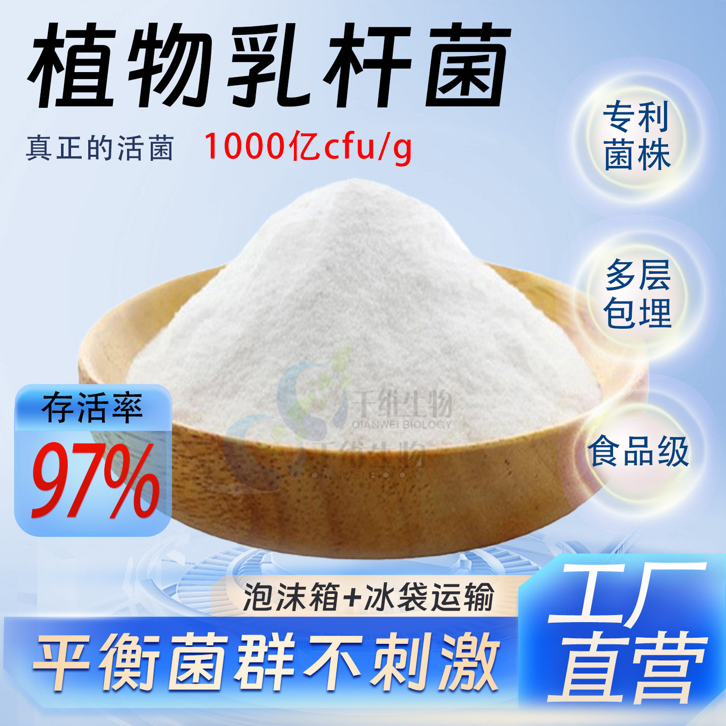 植物乳杆菌1000亿高含量益生菌菌粉食品级乳酸菌酸奶厂家正品现货