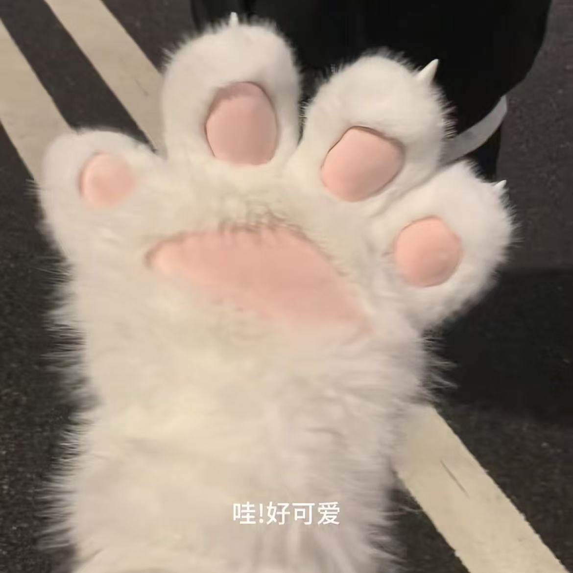 毛茸茸猫爪手套儿童学生加绒加厚