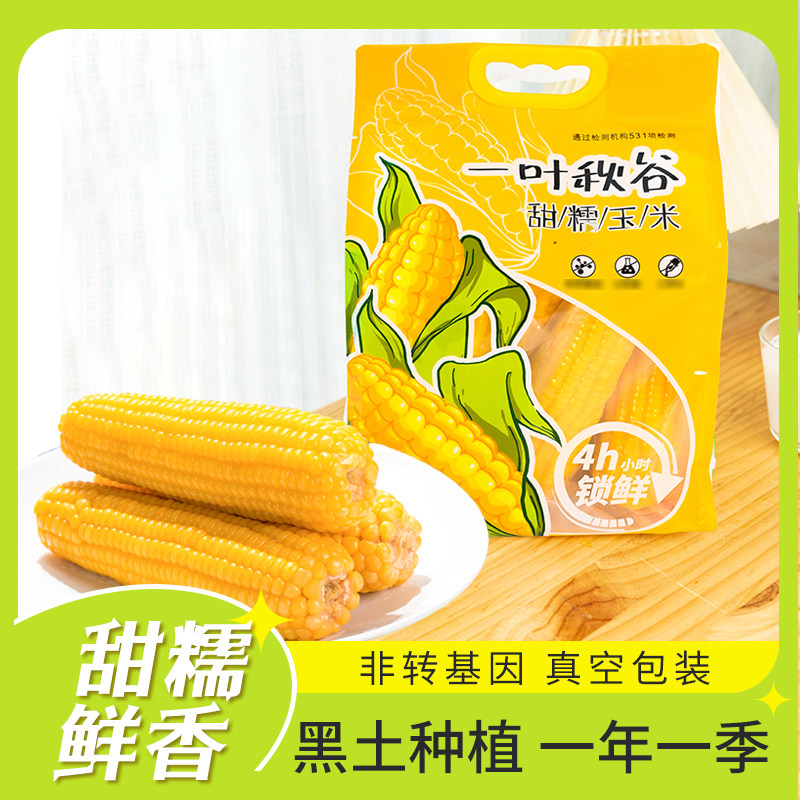 东北黄糯玉米软糯非转基因真空包装粗粮鲜食1.6kg
