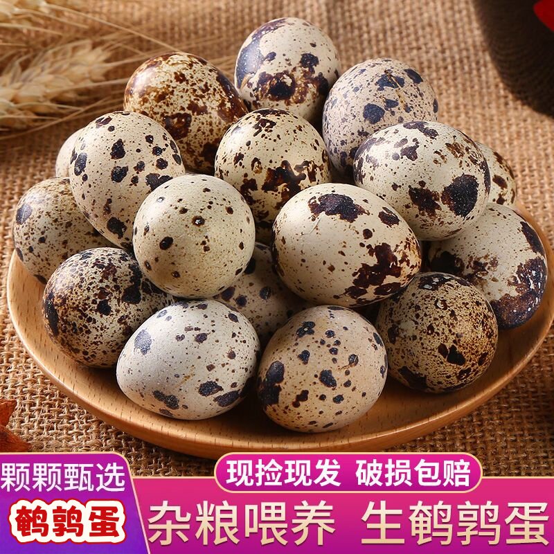 鲜鹌鹑蛋生鲜农家人正宗杂粮喂养宝宝孕妇辅食产地直发40枚/80枚