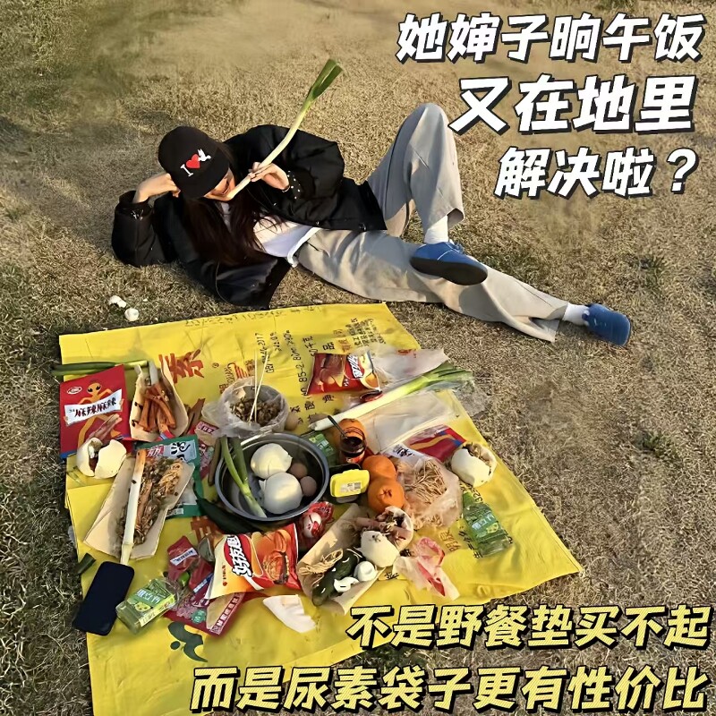 尿素袋子户外一次性野餐垫小尺寸图片