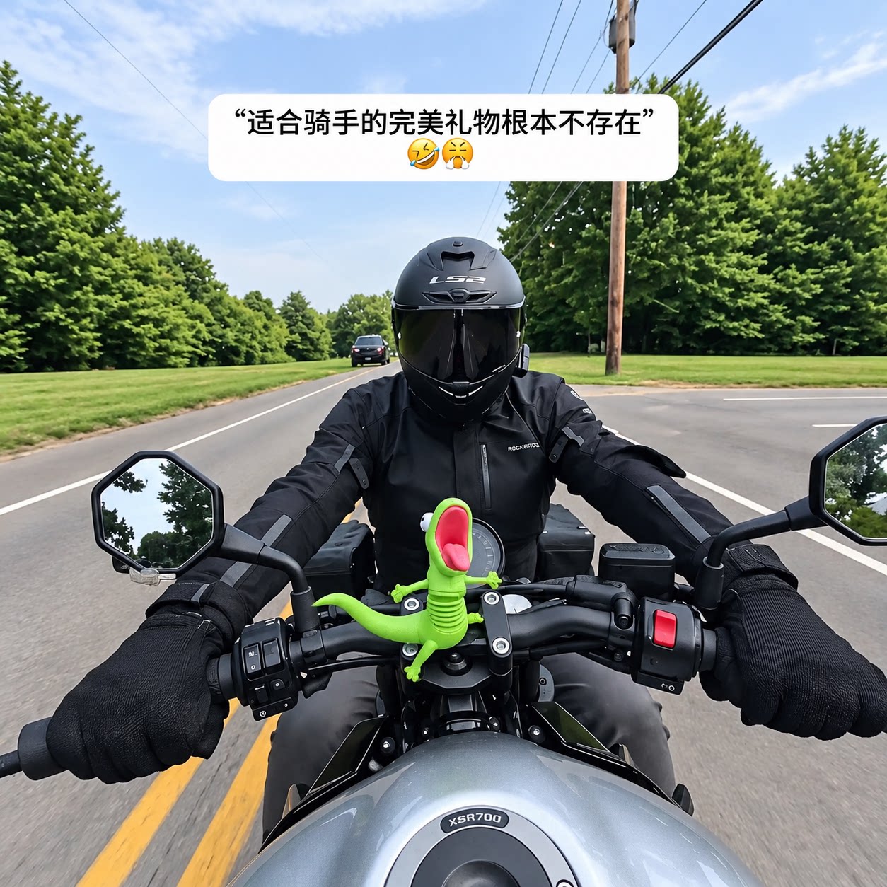 一起摇摆！尖叫弹簧蜥蜴摩托车摆件3d打印车把手装饰搞笑摇摇乐