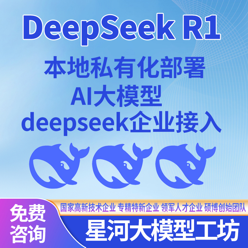 DeepSeekAI软件开发AI大模型人工智能软件定制开发解决方案