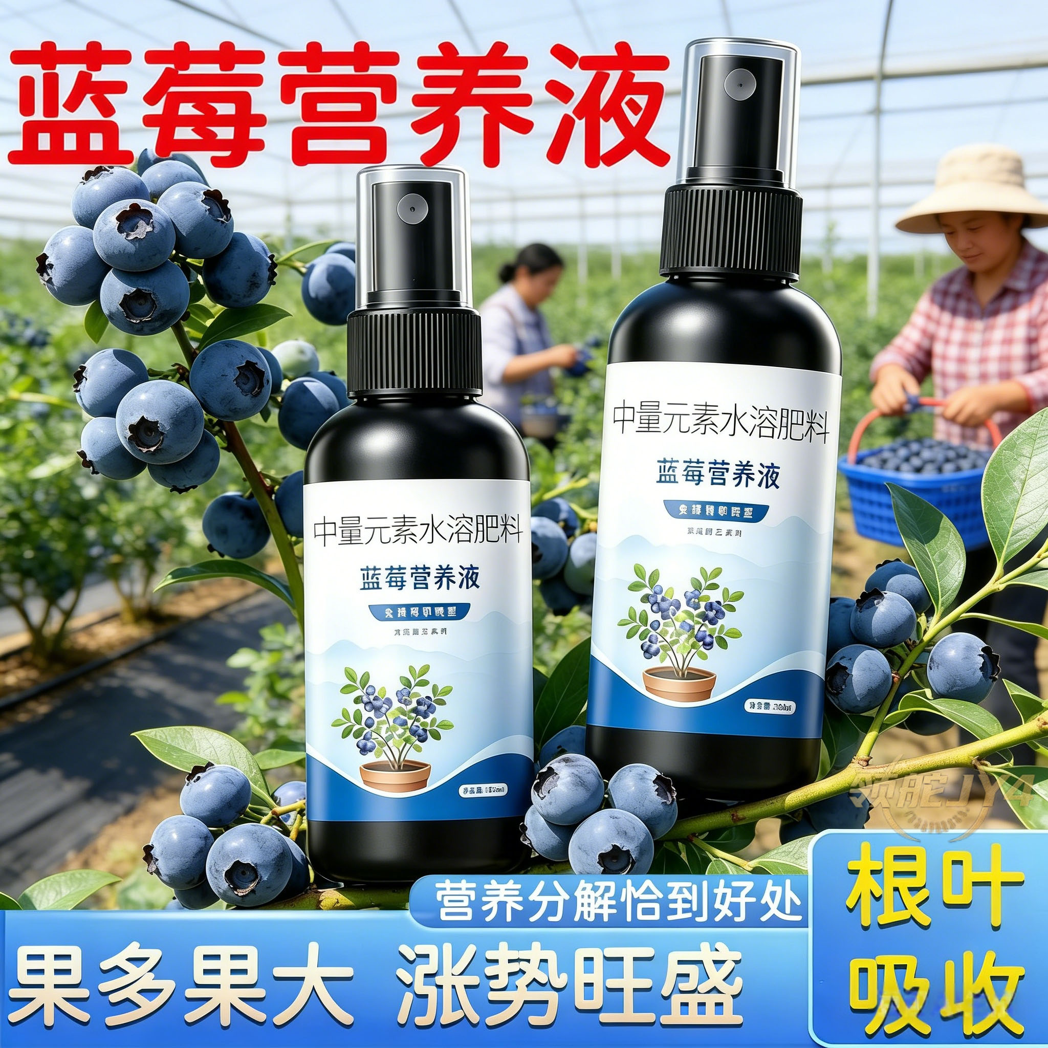蓝莓营养液促进生长壮根专用盆栽地栽蓝莓树生根发芽叶片浓绿正品