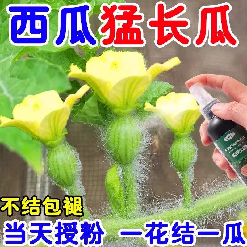 西瓜授粉水溶肥专用药点花剂西瓜肥料膨果肥营养液坐果营养液