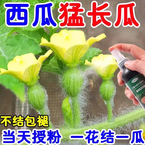 西瓜授粉水溶肥专用药点花剂西瓜肥料膨果肥营养液坐果营养液