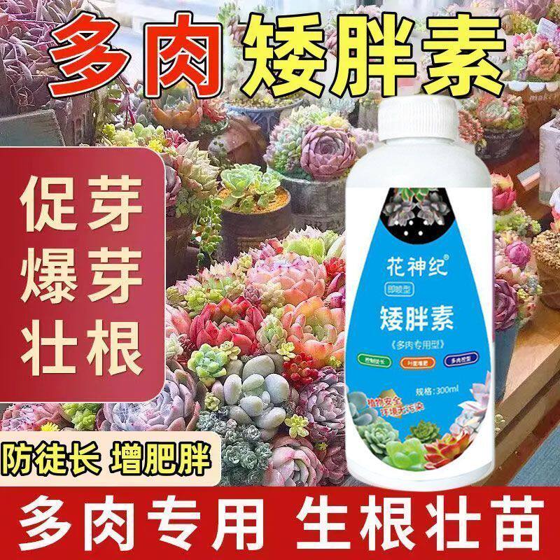 矮胖剂植物矮胖素菊花通用花木水仙花花卉多肉果树蔬增肥园艺肥料