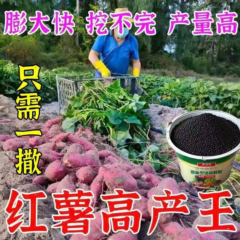 地瓜甘薯番薯红薯专用肥料高效缓释颗粒花肥料颗粒肥绿植水溶性肥