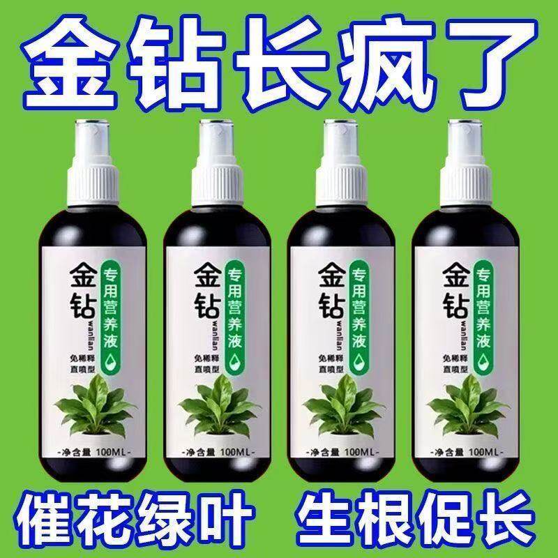 金钻营养液专用肥料室内家用养花洗眉机绿钻红钻大叶绿公主盆栽