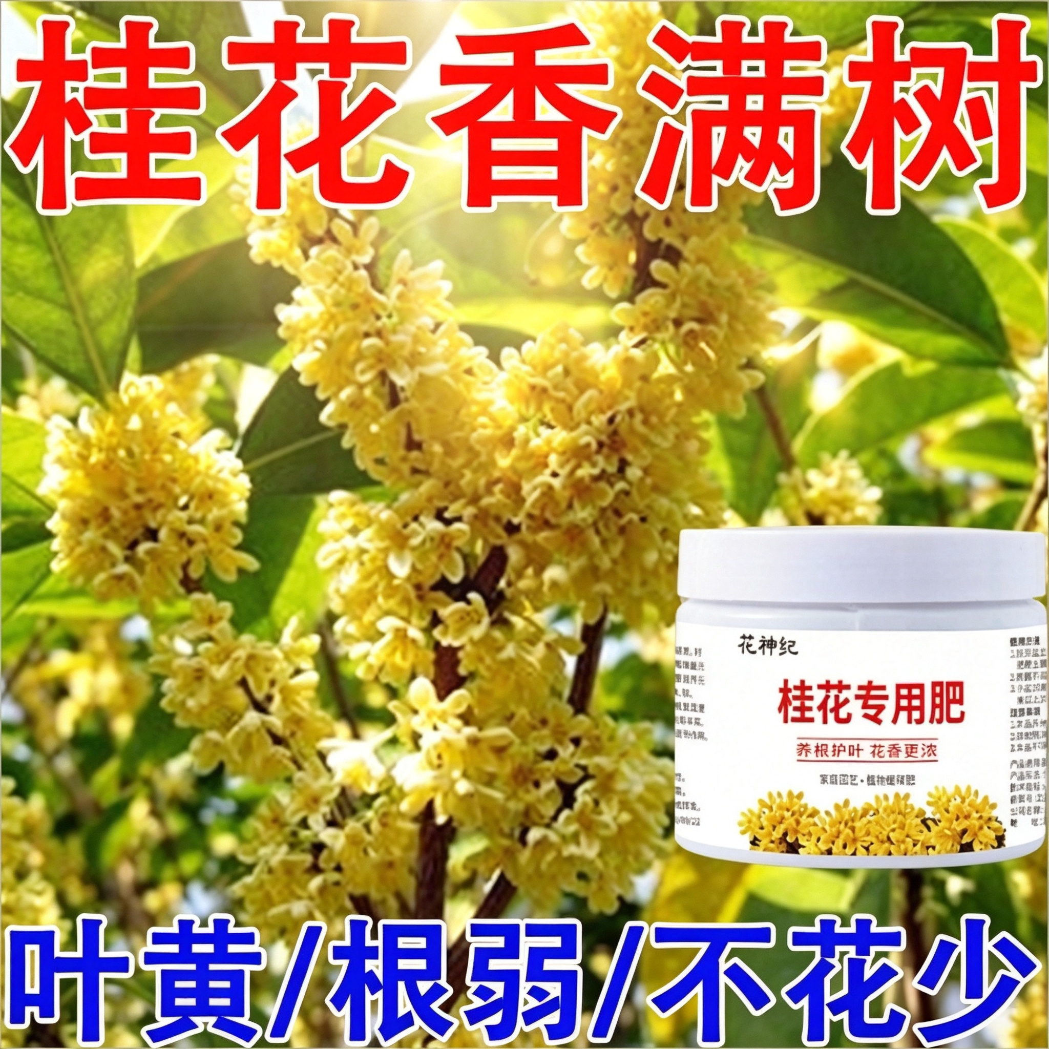 花神纪桂花专用有机颗粒肥养根护