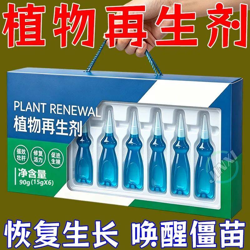 金钱树专用营养液生根爆芽防黄